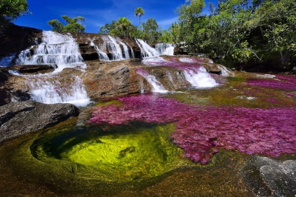 gallery/caño cristales