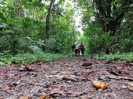 gallery/oton quimbaya