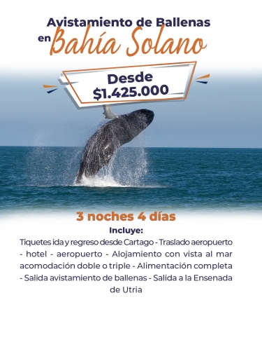 gallery/Bahía solano